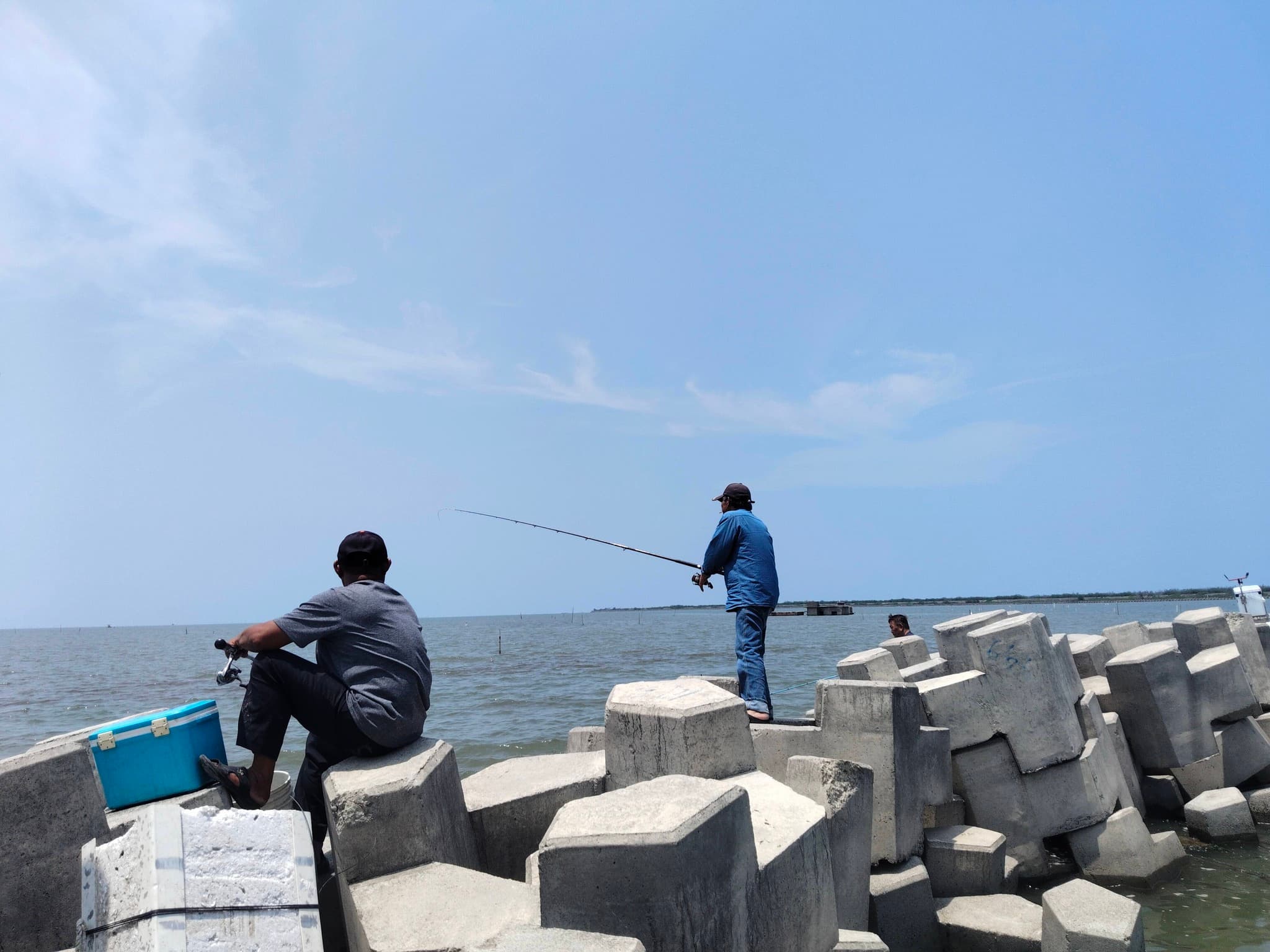 嘉義縣東石鄉新吉庄漁港爆發「鱸魚之亂」,本週有大批釣客專程前來垂釣被野放的鱸魚。(翻攝自東石之美臉書社團)