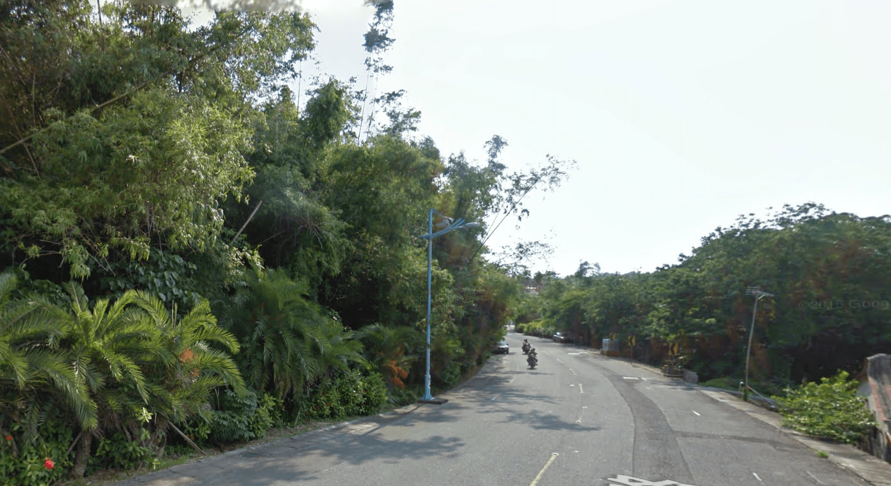 李四川名下持分的小琉球農地,根據2011年7月的google街景圖顯示,當時尚未蓋有鐵皮屋,仍是樹木。(翻攝自Google Maps)