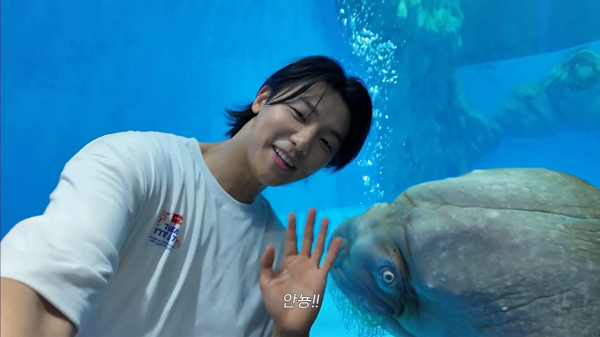 CNBLUE姜敏赫開心與動物合照。（香港海洋公園提供）