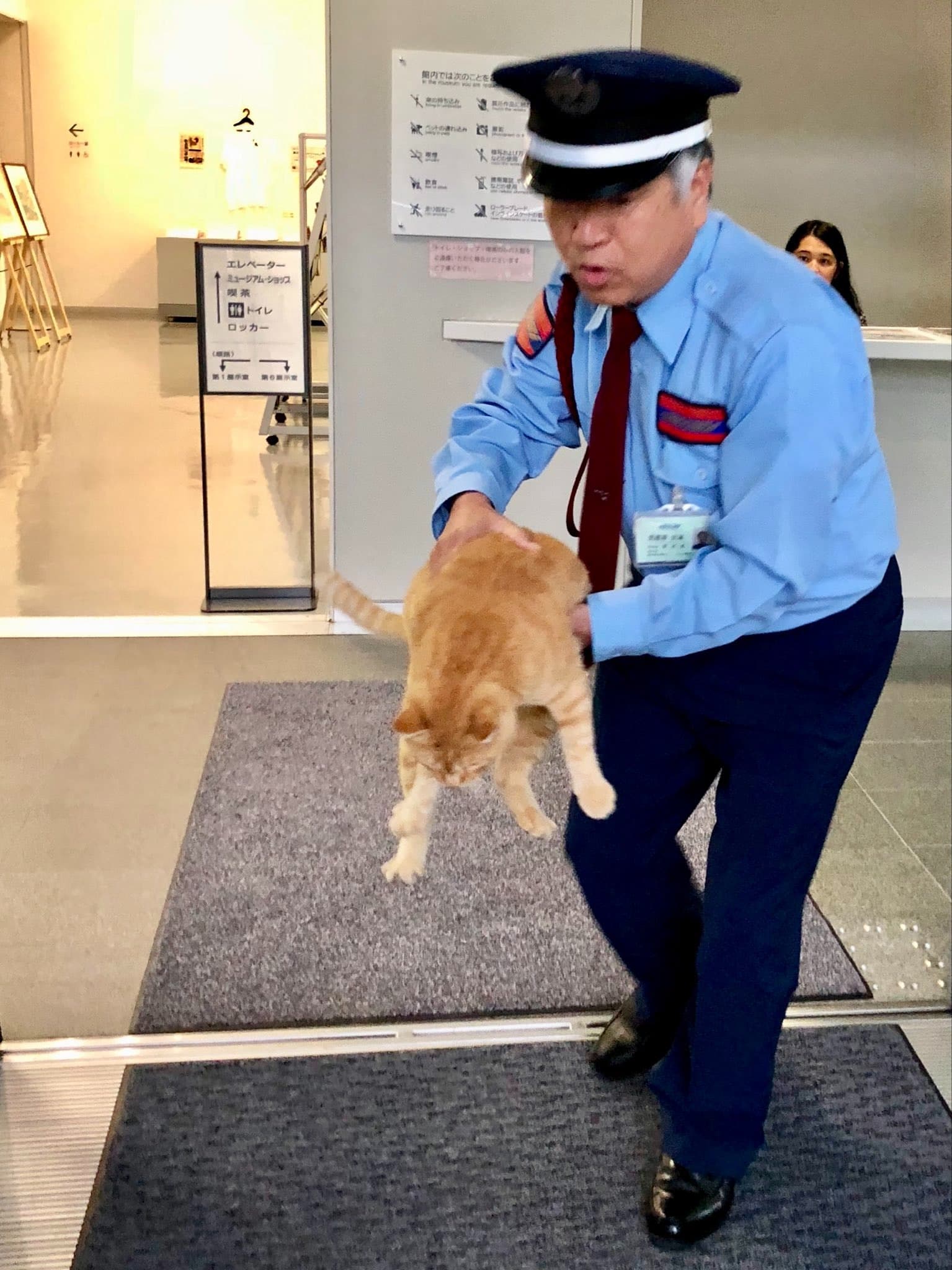 另一隻試圖闖入美術館的貓咪GO。(翻攝自尾道市立美術館X)