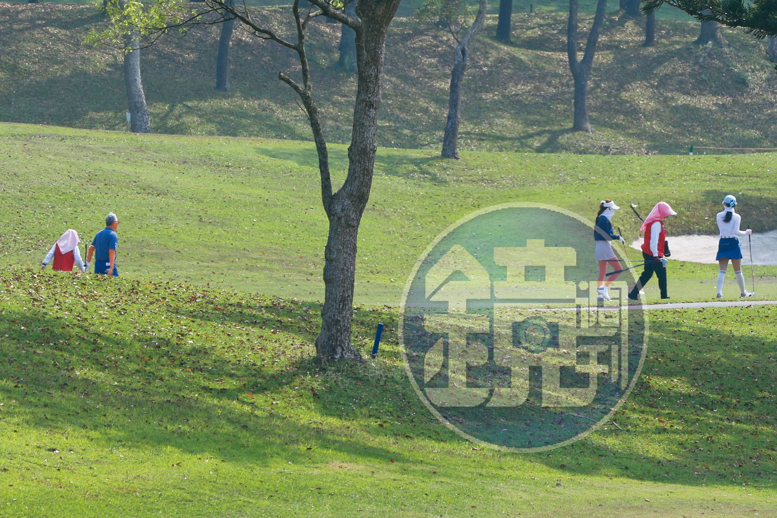 郭台銘與藍衣熟女彷彿夫妻一般經常作伴打球,兩人間的八卦也逐漸傳開。