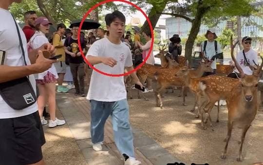 網友希望警方能逮捕這名虐待動物的男子。(翻自X平台)