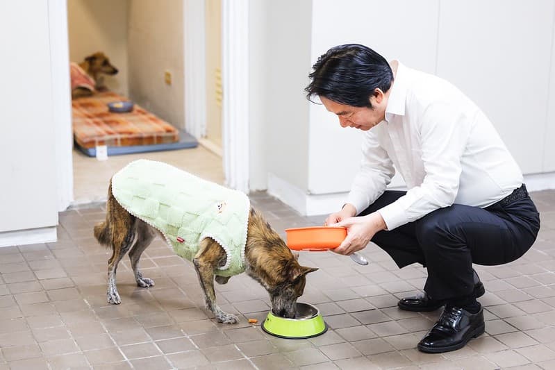 愛犬斑斑被領養前因傷截肢,但對牠的愛不減。(總統府提供)