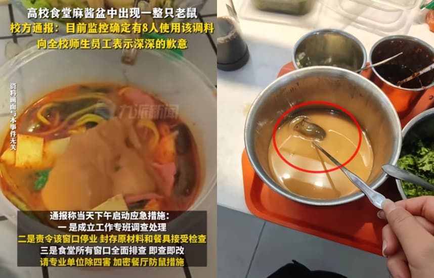江海職業技術學院有學生在自助醬料區「麻醬盆」撈到一隻老鼠，學校隨即著手展開調查。（翻攝微博）