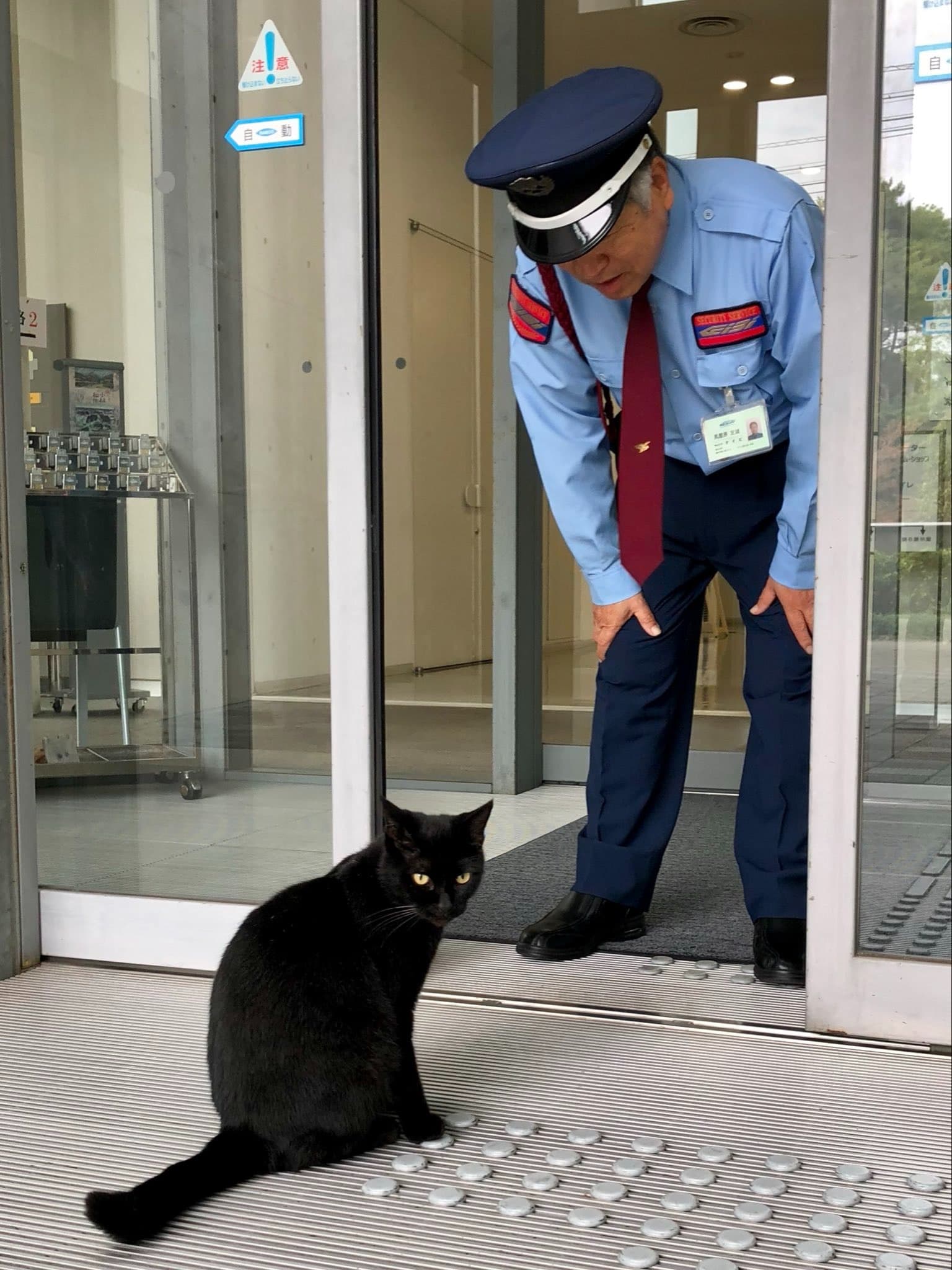 小健多次嘗試進入館內。(翻攝自尾道市立美術館X)