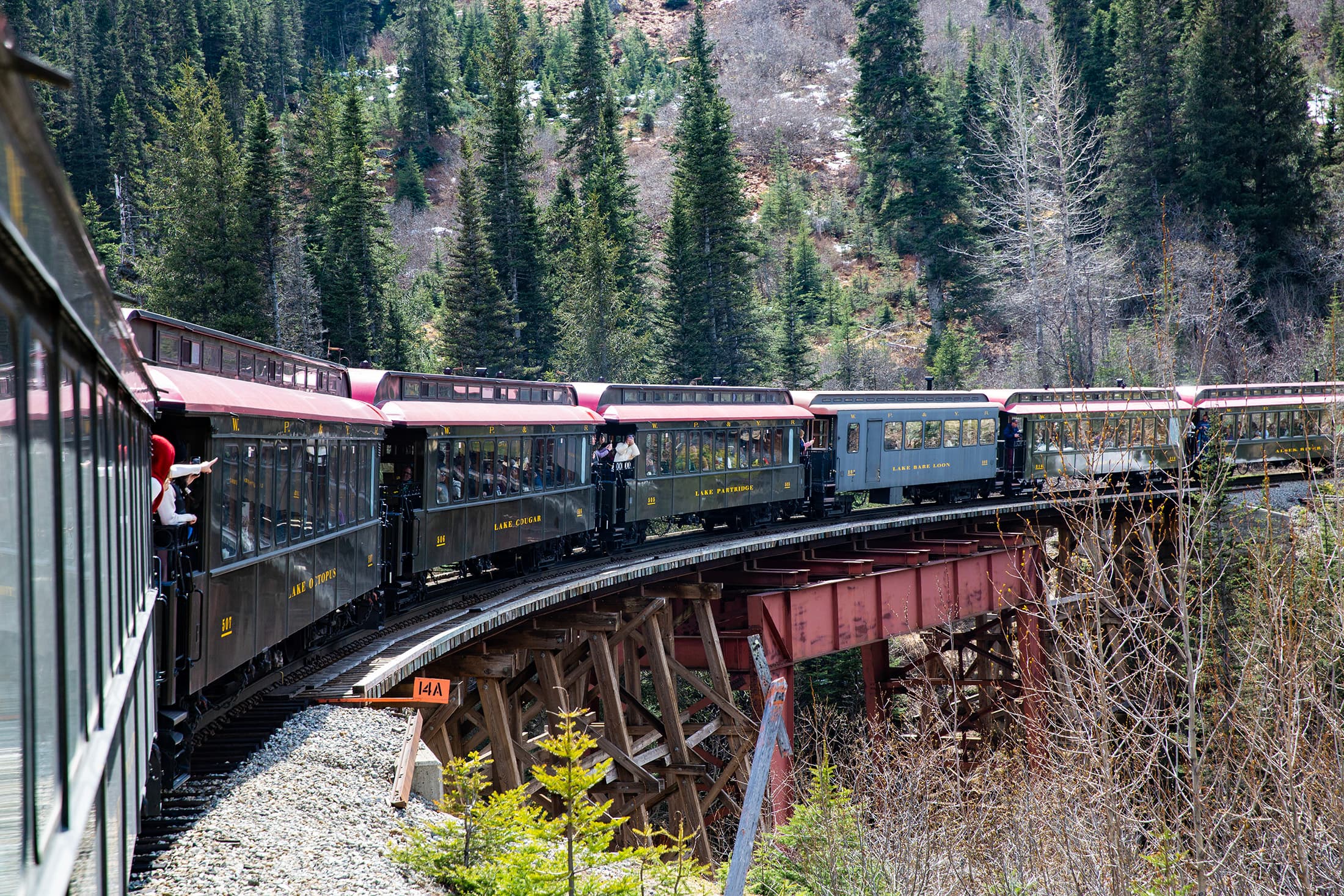 1898年興建的White Pass Railway穿越險峻山勢,列車行經懸崖邊高架橋與隧道之間,不只是景觀之旅,更是一段百年前工程冒險的重現。