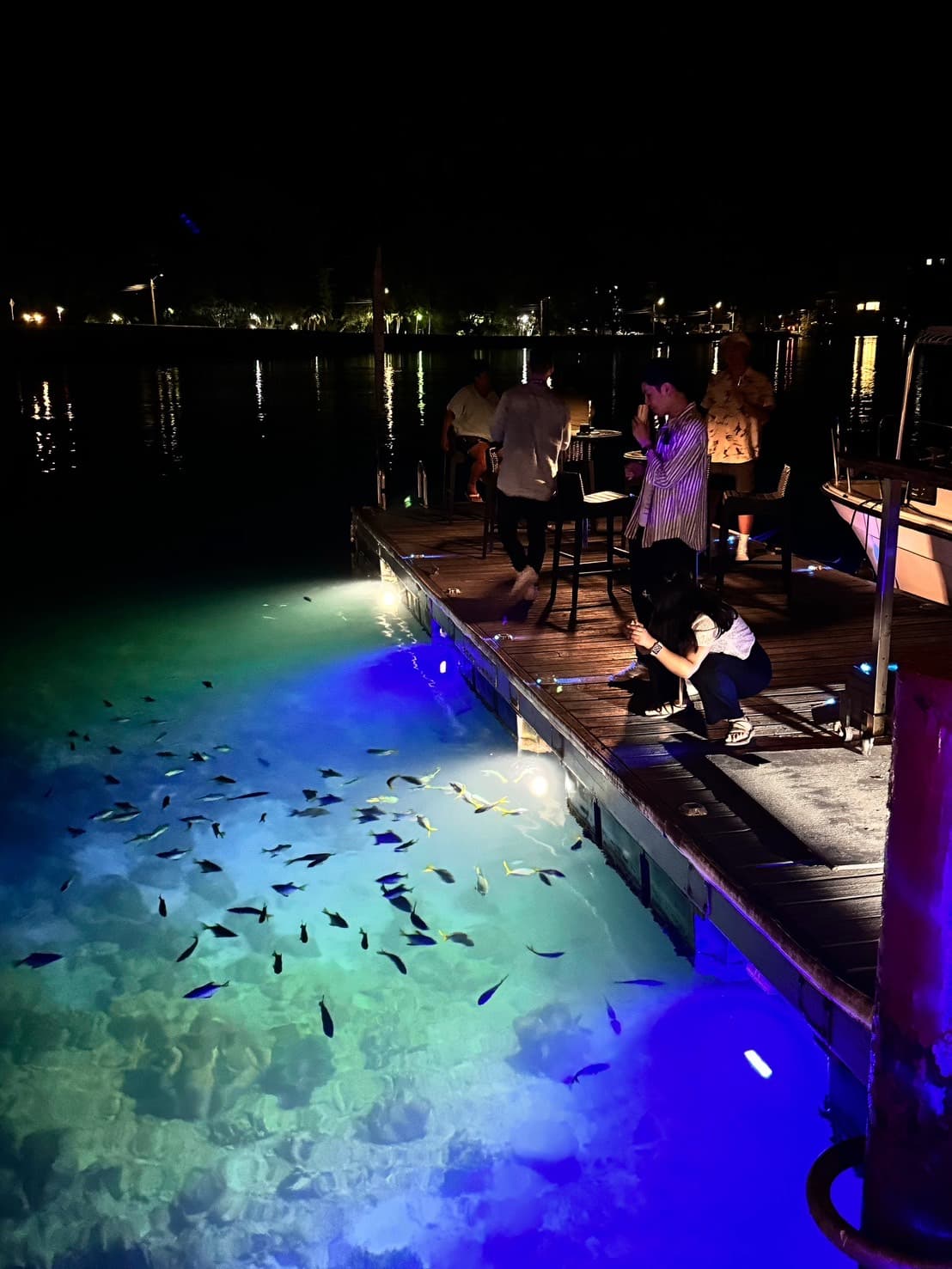 「Elilai Seaside Dining」戶外座位區的甲板下,透過光照除了熱鬧的魚群,還有清澈乾淨的海水。