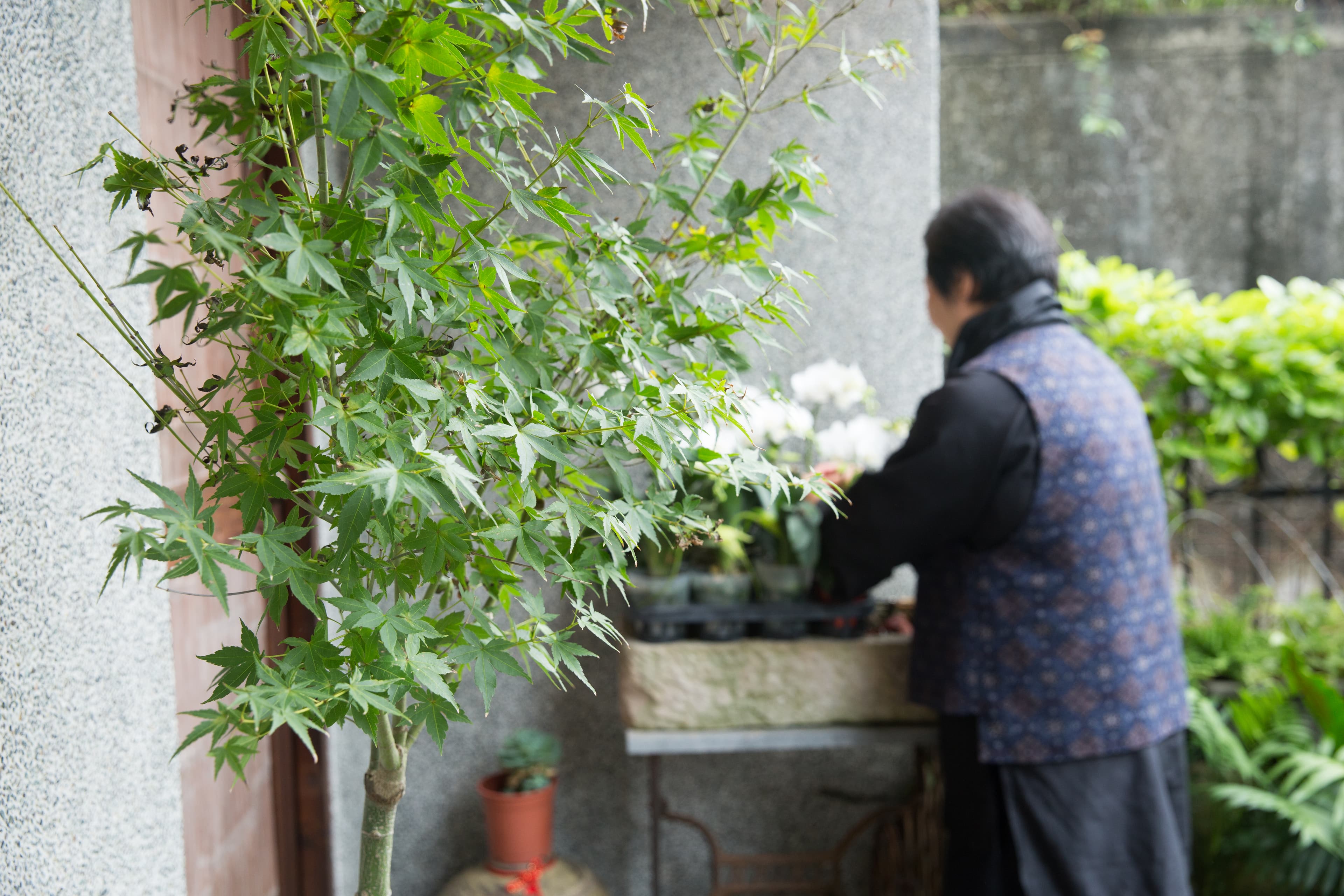 鄭太太個性低調,回憶起鄭問,仍然淚眼婆娑。