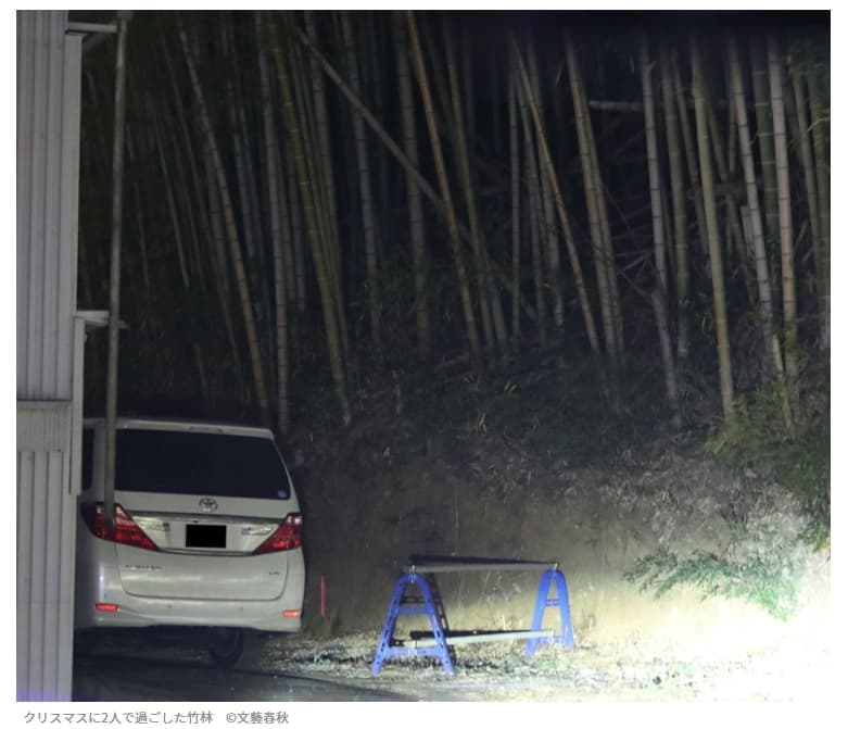 《週刊文春》拍到秋元主播車震的地點,除了圖示的竹林,也有堆肥小屋。(翻攝《週刊文春》網站)