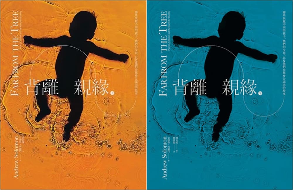 《背離親緣:那些與眾不同的孩子,他們的父母,以及他們尋找身分認同的故事》,安德魯.所羅門著,謝忍翾、簡萓靚譯,大家出版(上、下二冊)