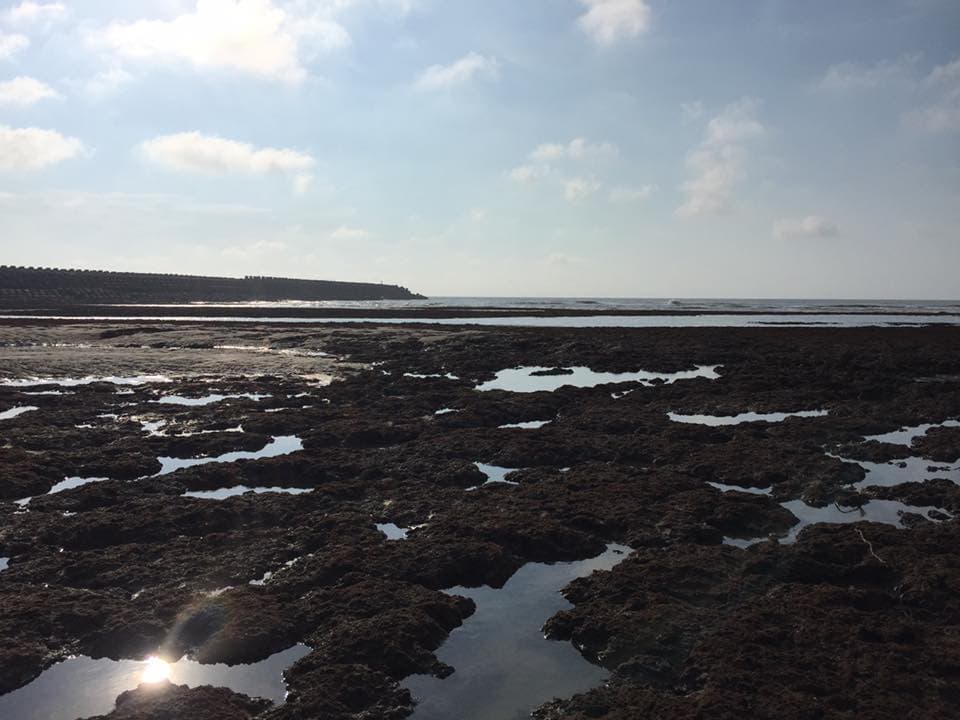 中油打算在桃園珍貴的藻礁生態地建第三天然氣接收站,受民眾大力反對。(翻攝自珍愛桃園藻礁)