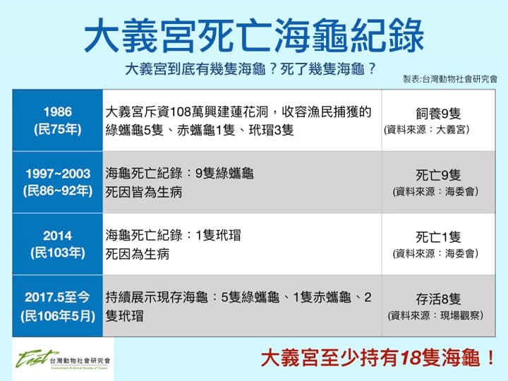 從1997年至今,大義宮已有10隻海龜死亡。(翻攝畫面)