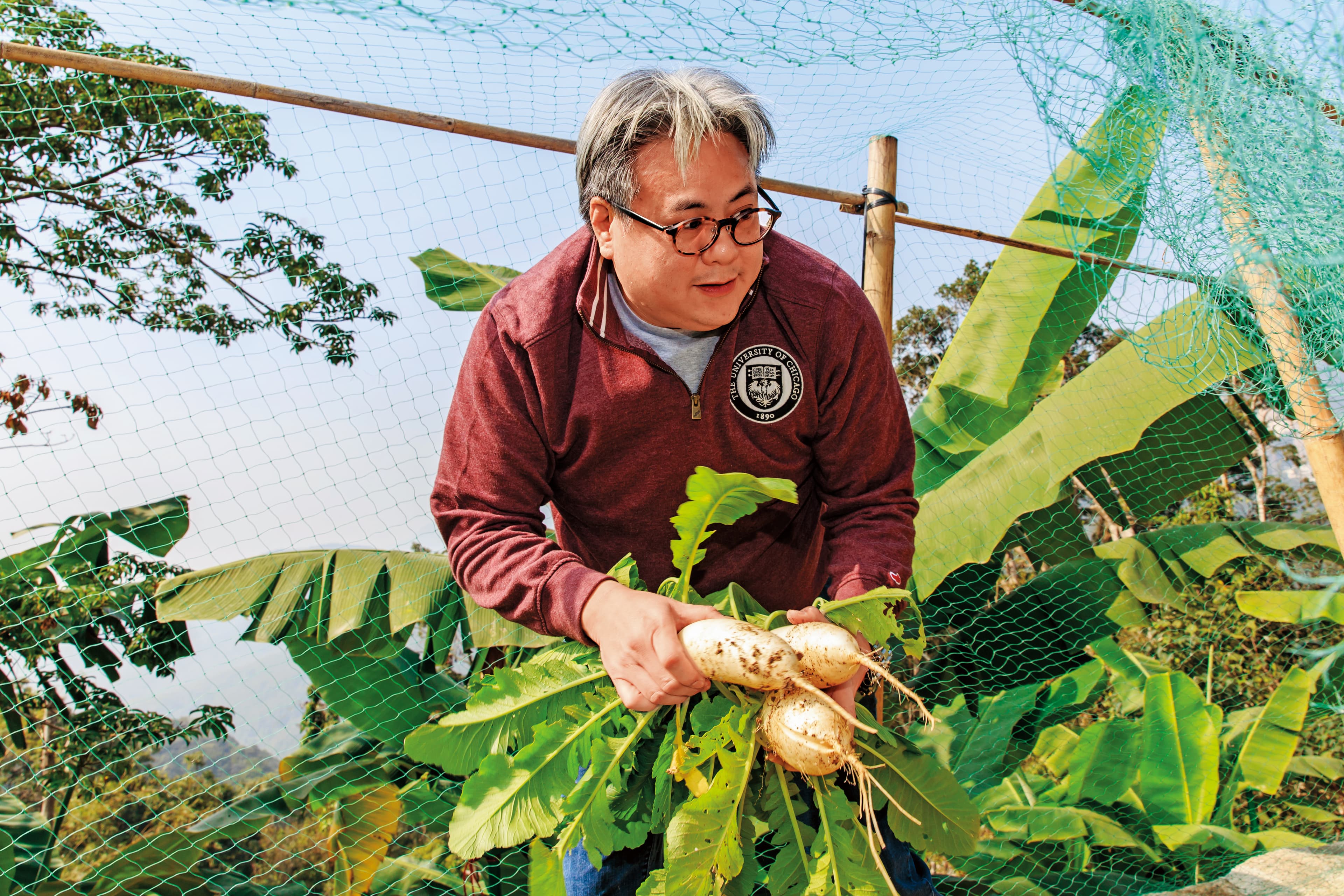 榮鴻慶的孫兒榮康信親自摘菜、拔蘿蔔,在家享受田園樂。