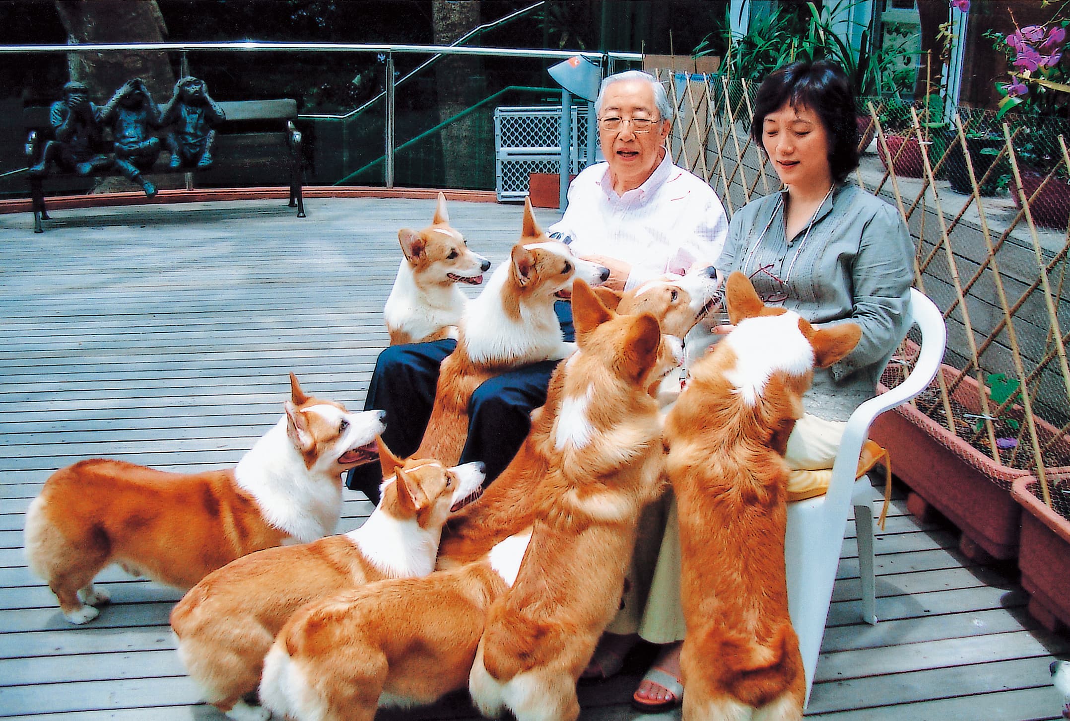 榮鴻慶和太太榮周淑霞愛狗,出門遛狗時被鄰居說是八仙。(上海商銀提供)