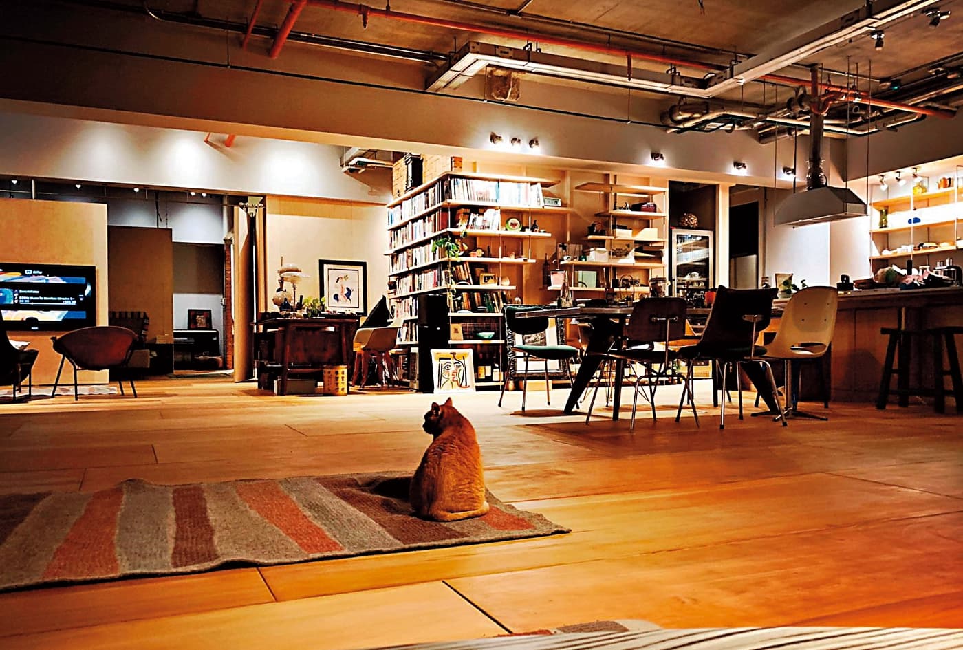 本刊透過管道獨家拿到鈕承澤新家的內部風景,走的是「布景風」而不是工業風。