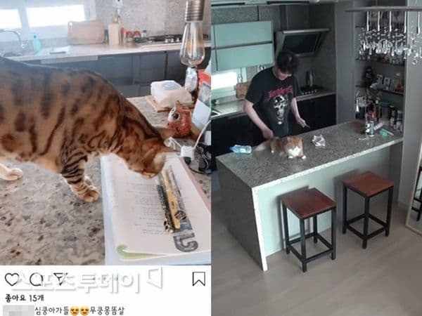 尹鈞相女友在自己IG貼出在男友家的照片,連尹鈞相愛貓也入鏡。(翻攝自今日體育網)