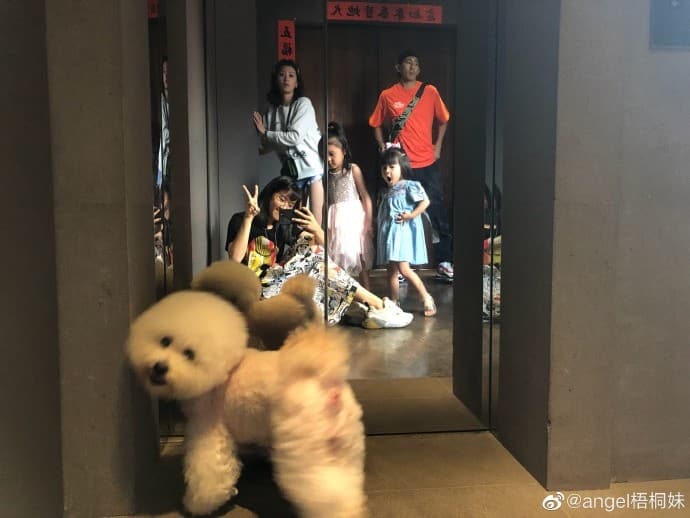 梧桐妹近日開通微博帳號,第一則貼文就是一張她側拍的全家福。(翻攝梧桐妹微博)