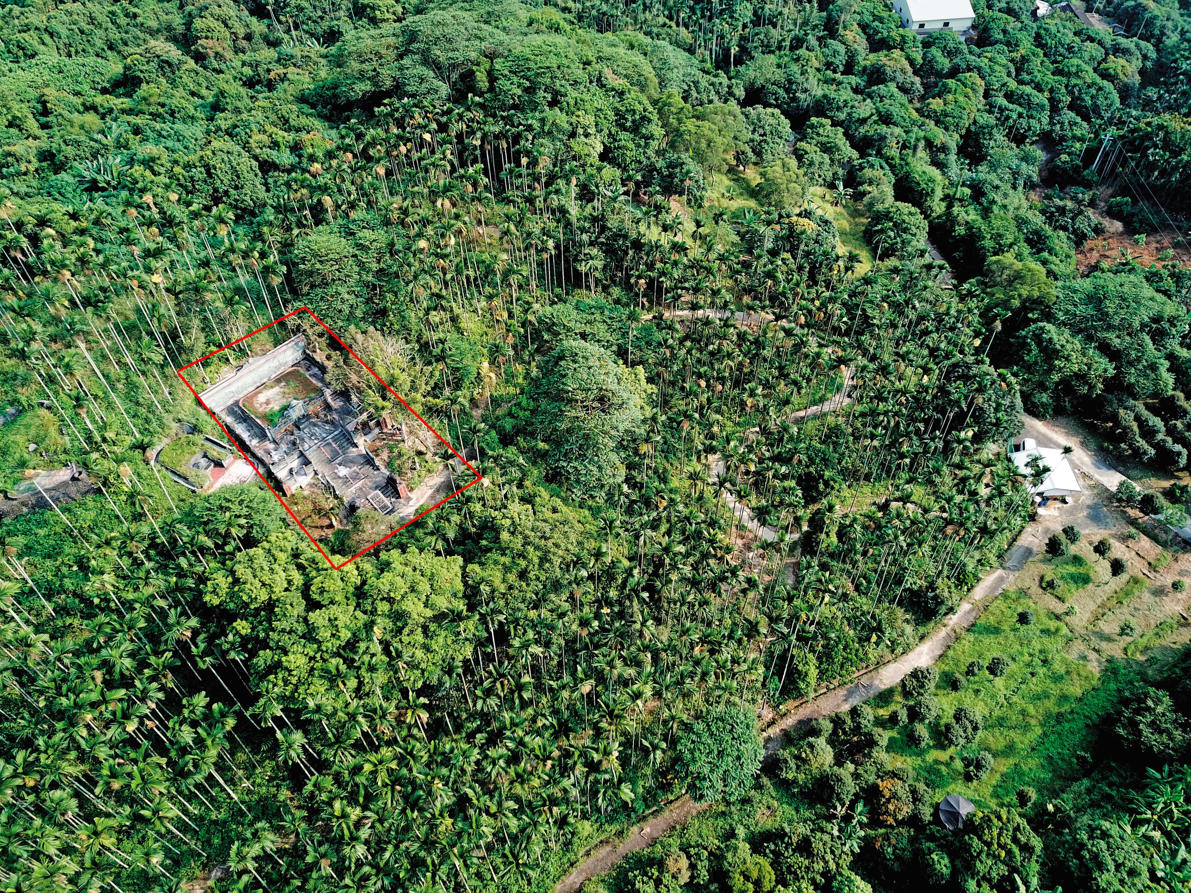 蔡長銘是嘉義黃派掌門人,墓地(紅框處)居高臨下,採王公貴族陵園設計,風水有助子孫飛黃騰達。