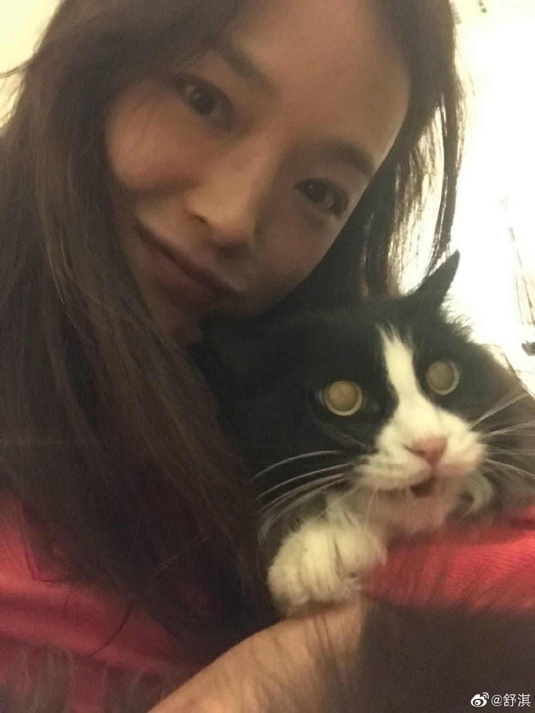 金馬影后舒淇也在林志玲微博上留言祝賀。(翻攝自微博)