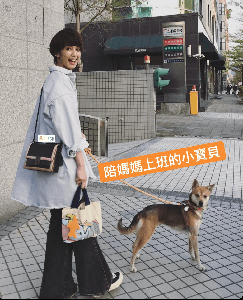 陳庭妮帶著愛犬外出時身上就是背著COACH Hutton手袋。NT$19,800(COACH提供)