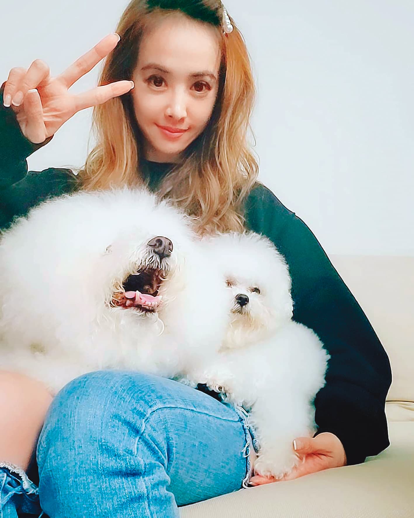 蔡依林難得放假,整天都在家陪愛犬屋虎。(翻攝自蔡依林IG)