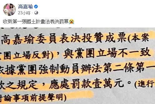 高嘉瑜國土法跑票,遭黨內罰款1萬元(翻攝自高嘉瑜臉書)