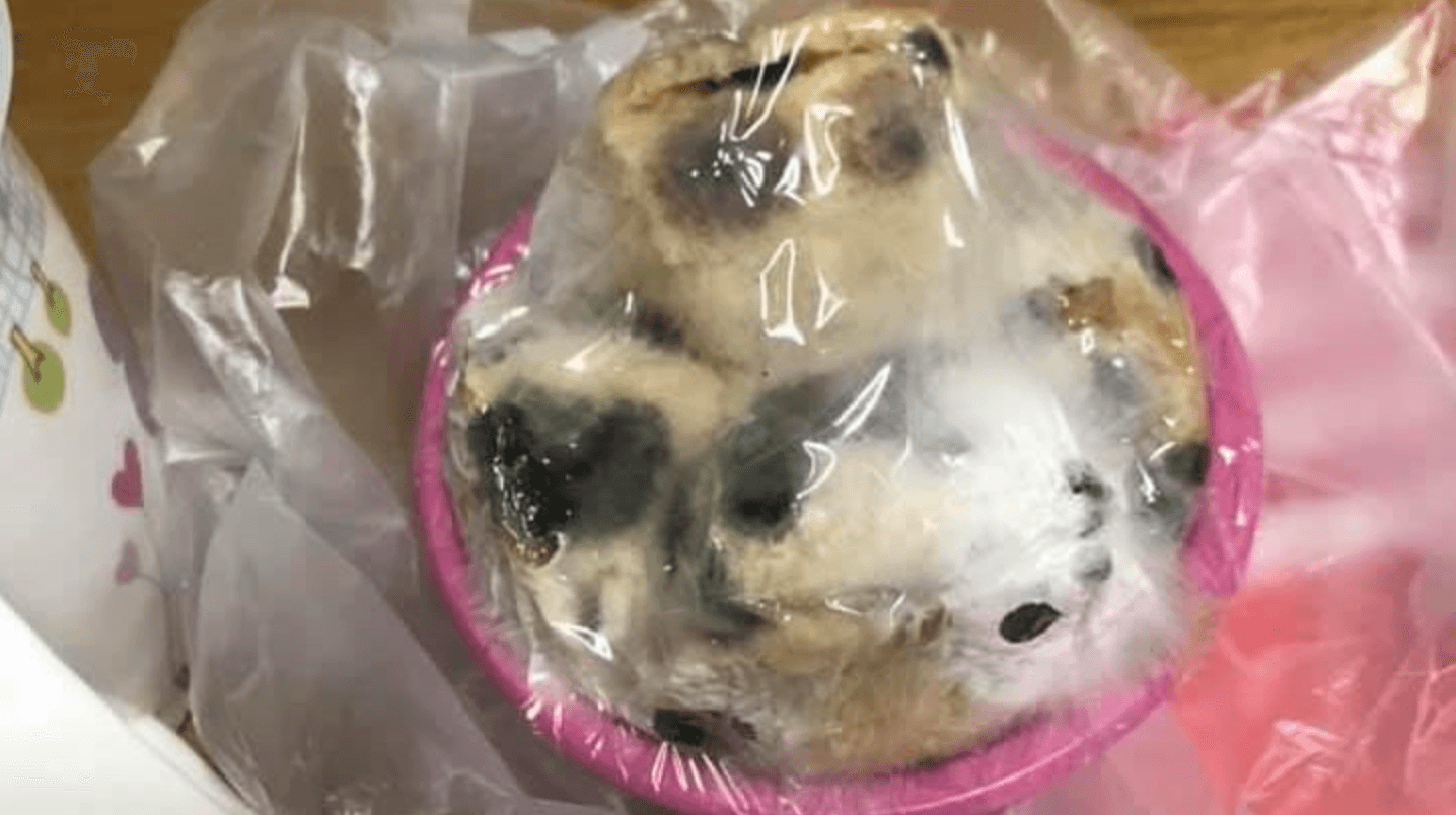 網友貼出家中發糕發霉照片,無奈表示媽媽堅持年後才要收掉。(翻攝自「爆怨公社」)