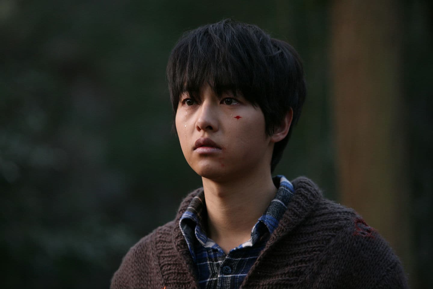 《狼少年:不朽的愛》上映於2012年,宋仲基坦承至今仍未出戲。(網路圖片)