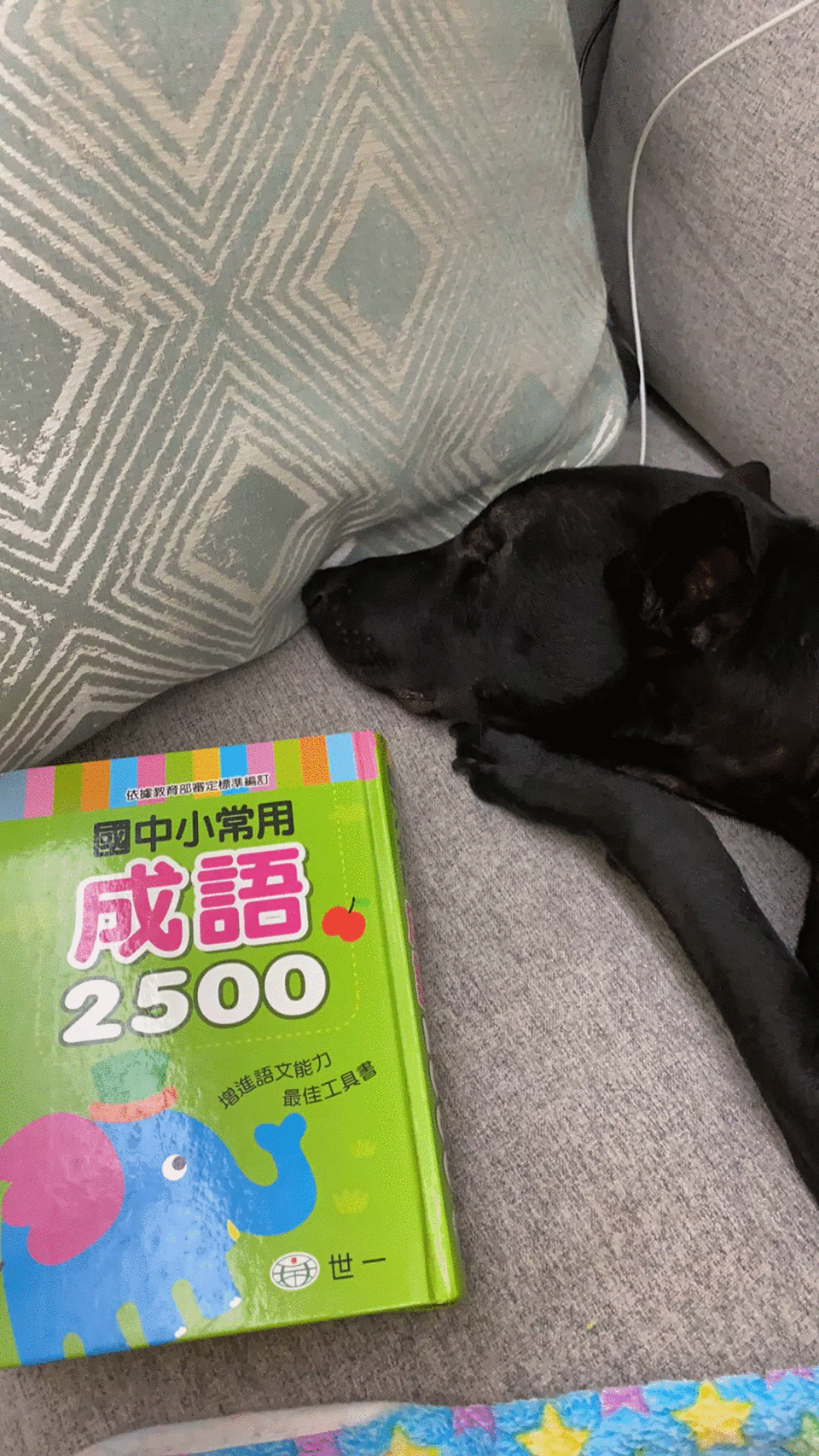 米可白上《天才衝衝衝》卡關,回家竟是查「兒童字典」。(華視提供)