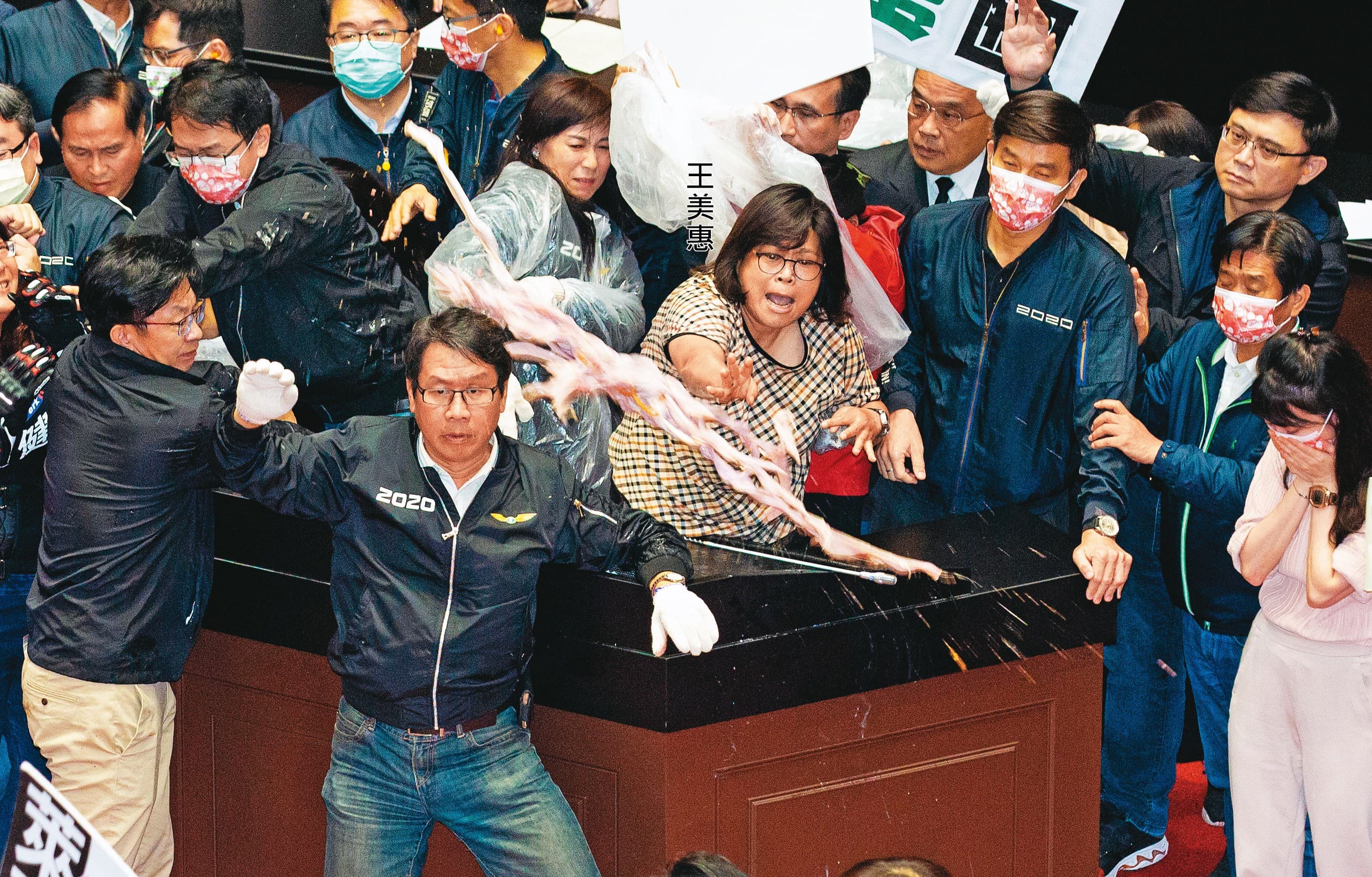民進黨立委王美惠去年11月27日在立法院議場面對藍委丟擲豬內臟絲毫不畏懼,「空手接豬腸」反擊,博得「女戰神」稱號。