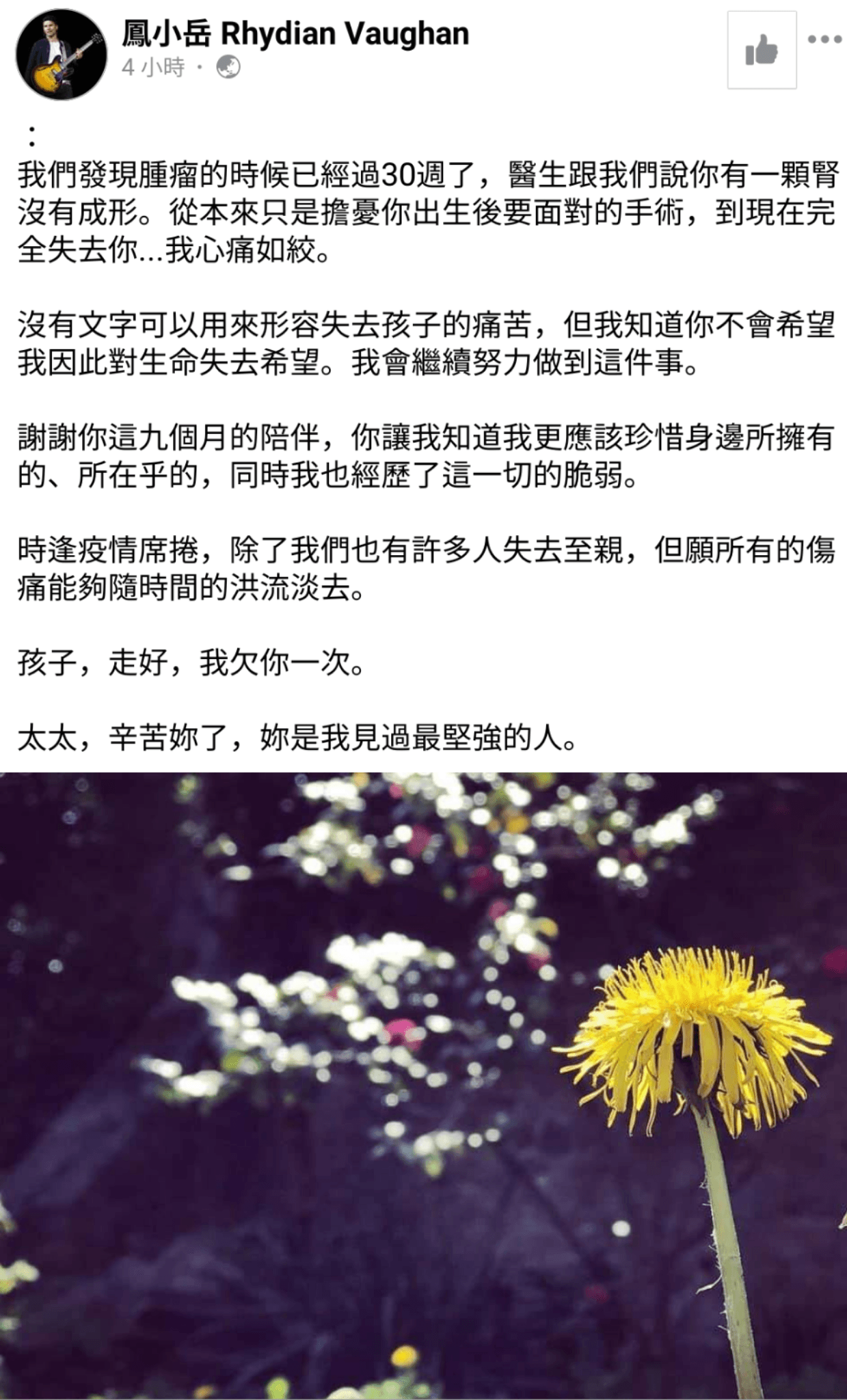 鳳小岳在臉書發文,對失去孩子感到「心痛如絞」。(翻攝自鳳小岳臉書)