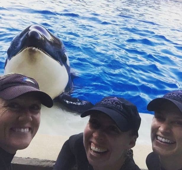 猝逝的殺人鯨「艾瑪亞」今年6歲,深得工作人員喜愛。(翻攝SeaWorld San Diego臉書)