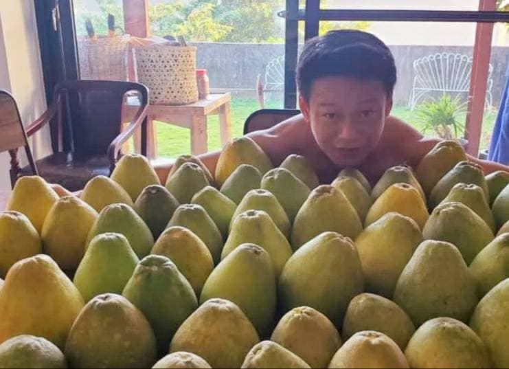 李康生家裡的柚子樹今年豐收,他把收成分送給《山中森林》幕前幕後團隊,表達中秋祝福。(禾力文創提供)