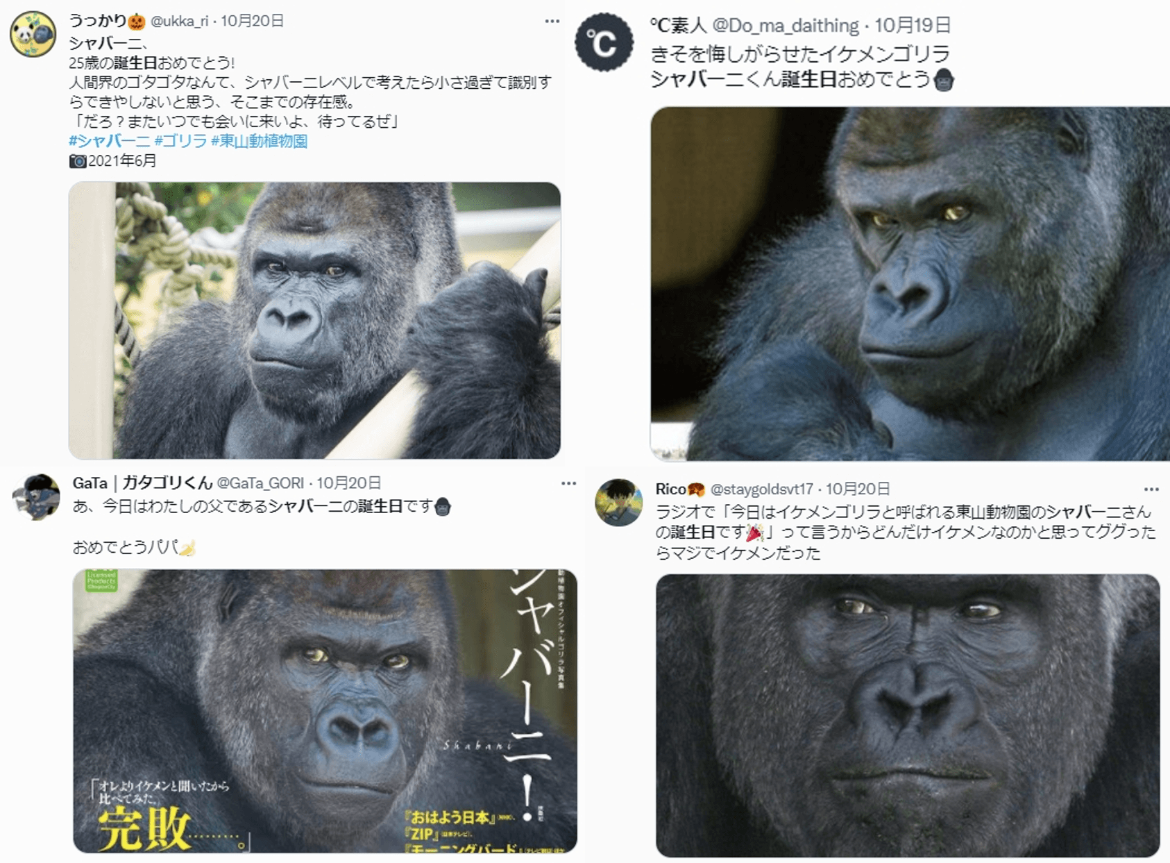 10月20日為夏巴尼的生日,推特上有許多粉絲發文慶賀,回顧夏巴尼過去的帥照。(圖片翻攝推特)