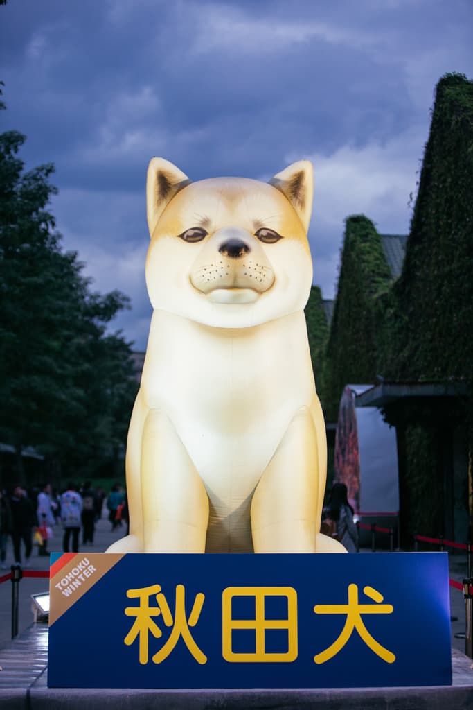 全世界最高的巨型秋田犬這次也將重回台灣。(日本東北遊樂日提供)