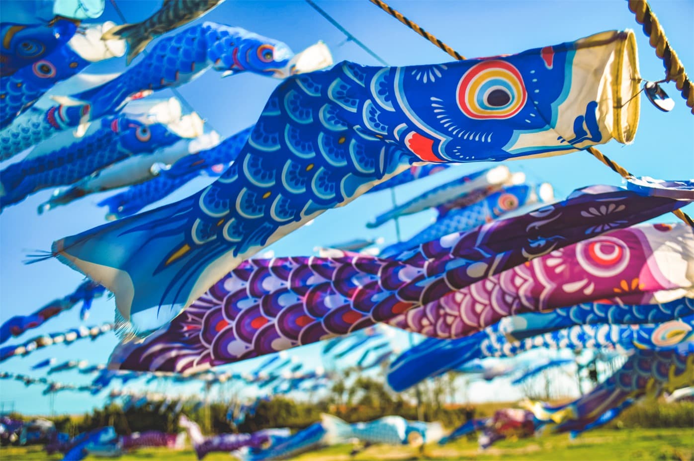 在現場寫下藍色鯉魚旗的祝福,活動結束後將送回日本東北,在空中飛揚,傳遞祝福。(日本東北遊樂日提供)