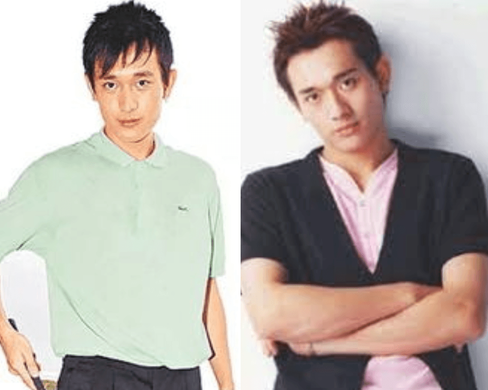 楊丞琳坦承與元駿豪交往一年多,元駿豪早已離開演藝圈。(翻攝自華人百科)