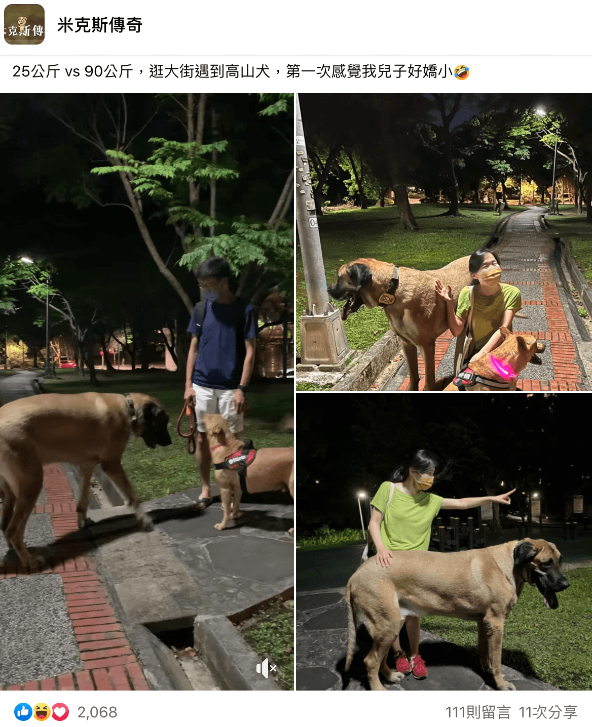 米克斯遇到高山犬瞬間變嬌小。(翻攝自米克斯傳奇臉書)