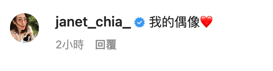 賈永婕留言支持岳姓正宮。(翻攝IG)