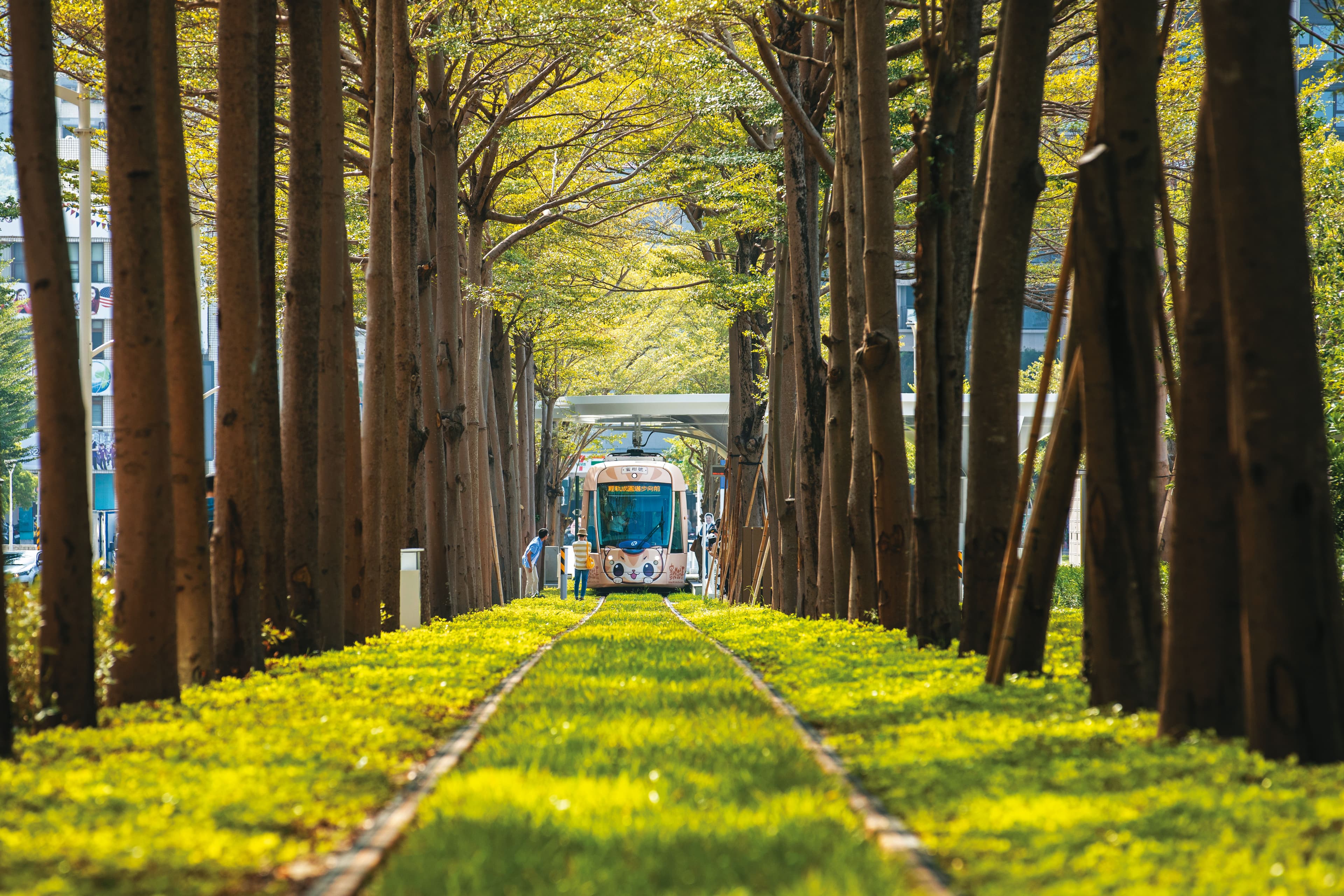 陳其邁上任力推輕軌復工,新通車的「龍貓隧道」路段,成為發燒打卡景點。