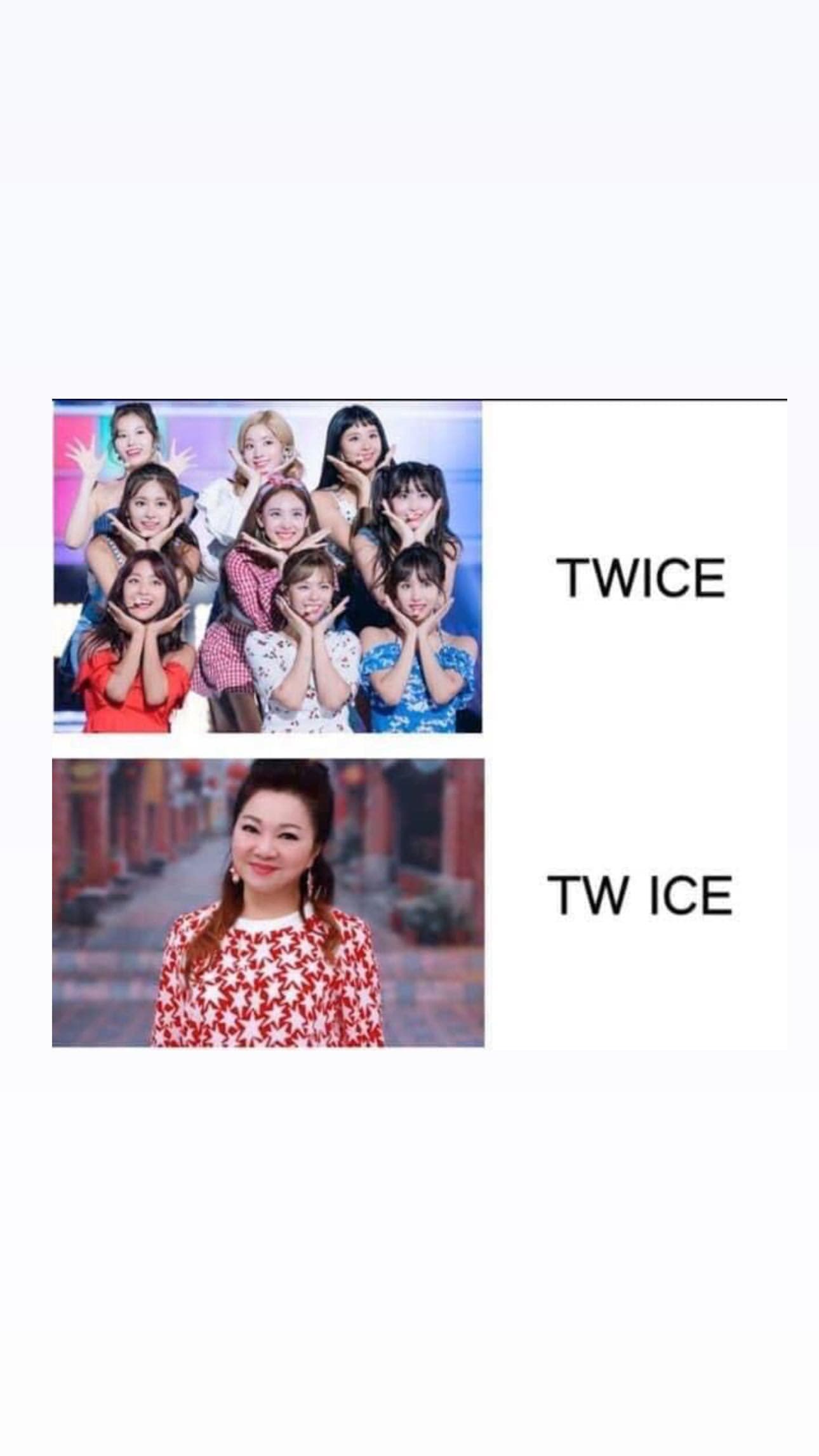 韓國有女子天團「TWICE」(上圖),我們則有國寶「TW ICE」台灣冰冰姐。(翻攝自Nick鱷魚迷因IG)