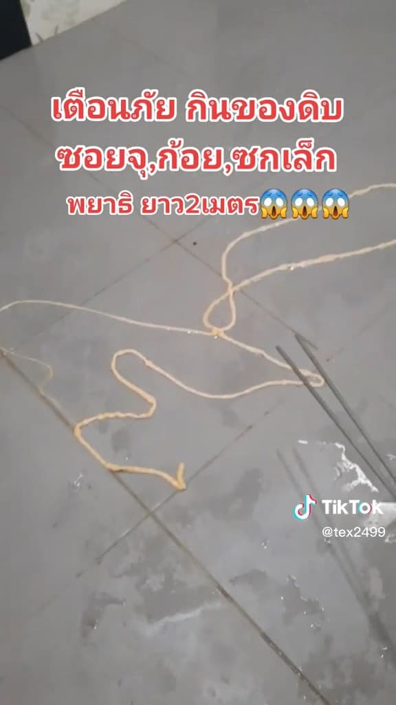 寄生蟲還在地上蠕動。(翻自TikTok)