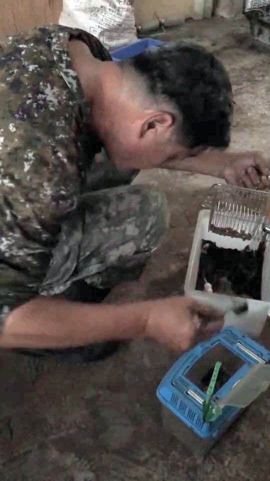 我們隨「翠鳥學苑」的老闆到倉庫抓他養的老鼠,準備天色暗了之後誘拍領角鴞。