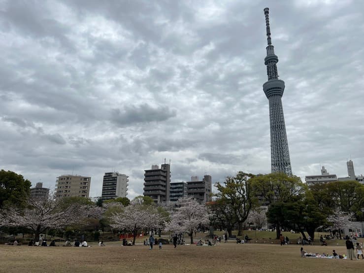 墨田區隅田公園能眺望晴空塔。