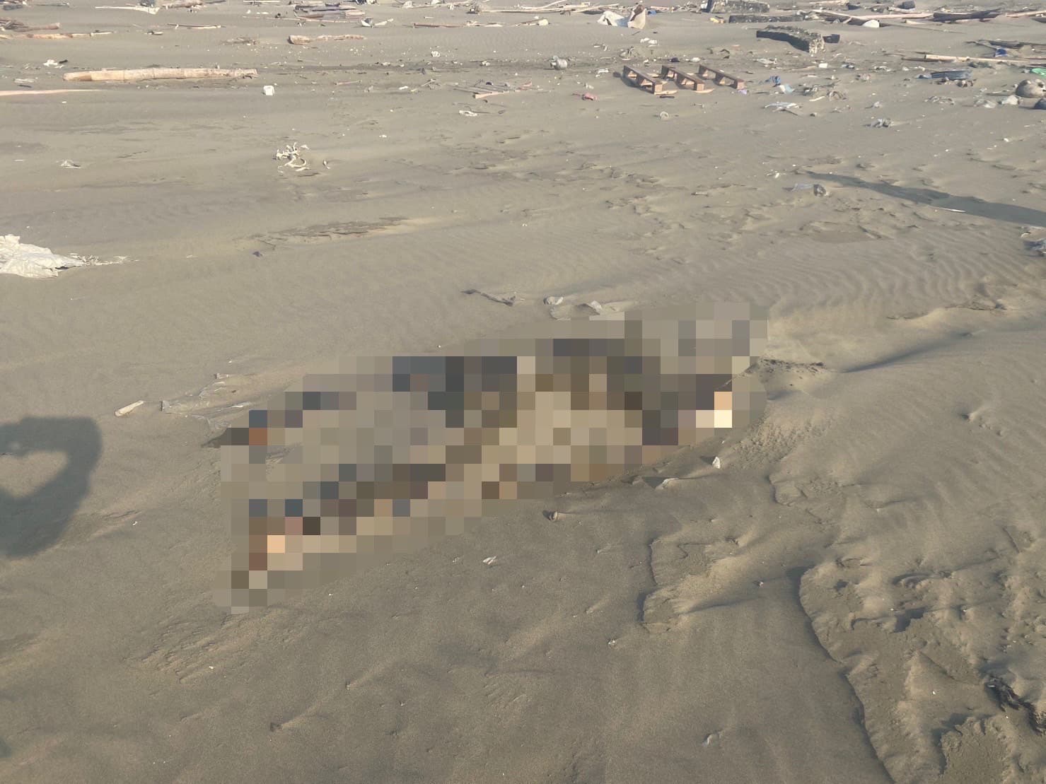 近日中南部海岸發現多具浮屍,疑遭人蛇集團海上丟包致死。(翻攝畫面)