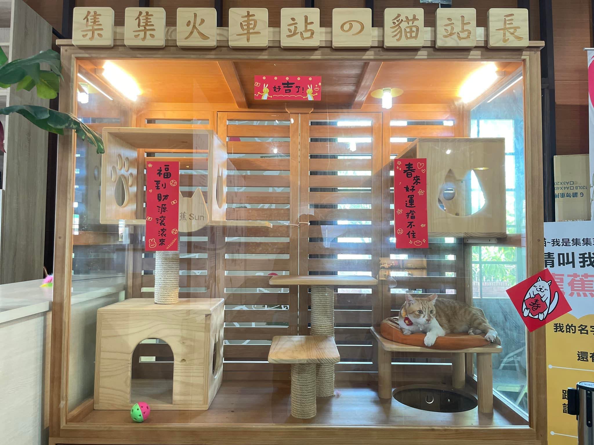 「龍蕉sun」在集集火車站內有專屬的休憩空間。(翻攝自臉書集集jiji x 貓站長_龍蕉sun)