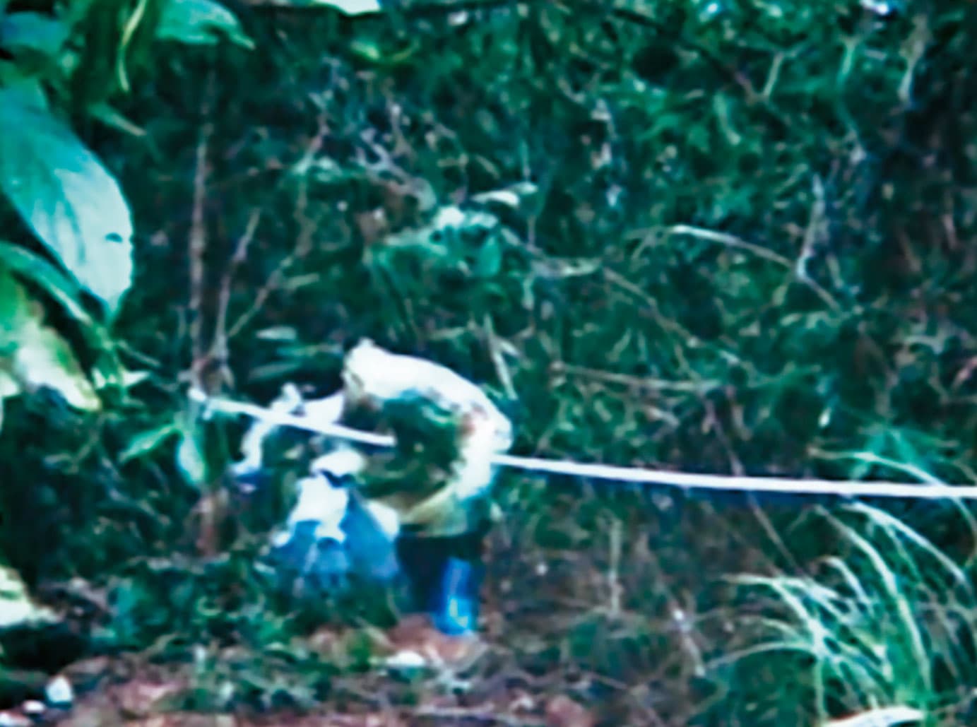 鄭姓死者被父親殺害後,棄屍屏東獅子鄉山區,2個多月後被獵人發現。(東森新聞提供)