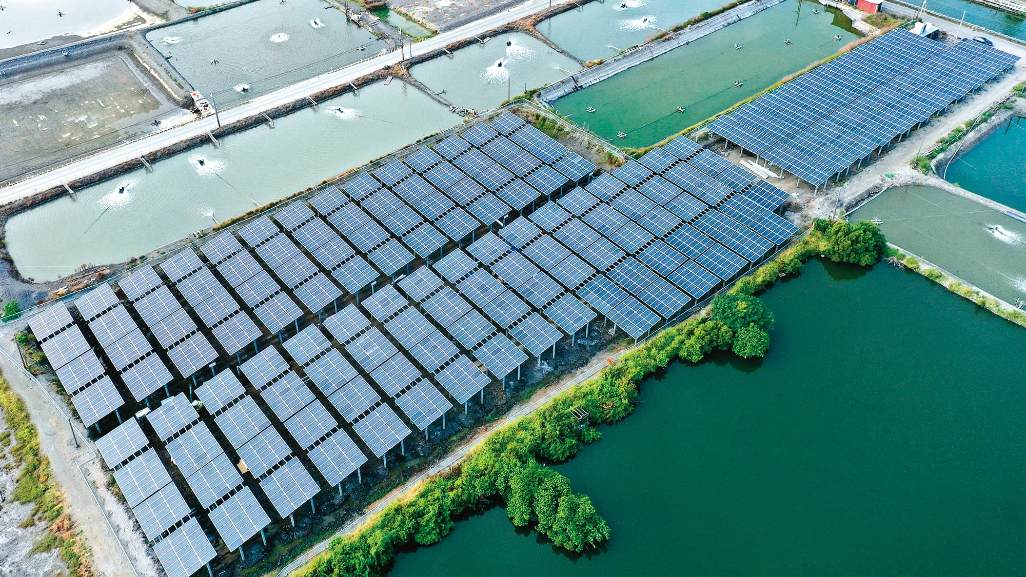 寶晶在不利耕作的地層下陷區首創大規模地面型太陽能光電案場,今年預計完成180MW併網量。(寶晶提供)