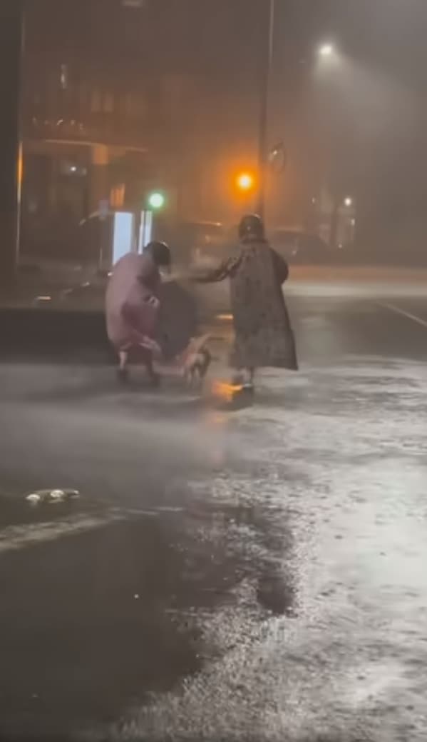柴柴不畏風雨,堅持要2位飼主帶牠出門解放。(翻攝自I AM 柴犬 TAKI臉書)