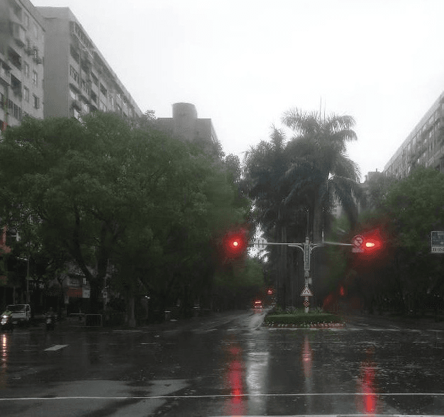 北市府po出今日照片澄清,仁愛路沒有樹木傾倒蓋滿地面狀況。(公園處提供)